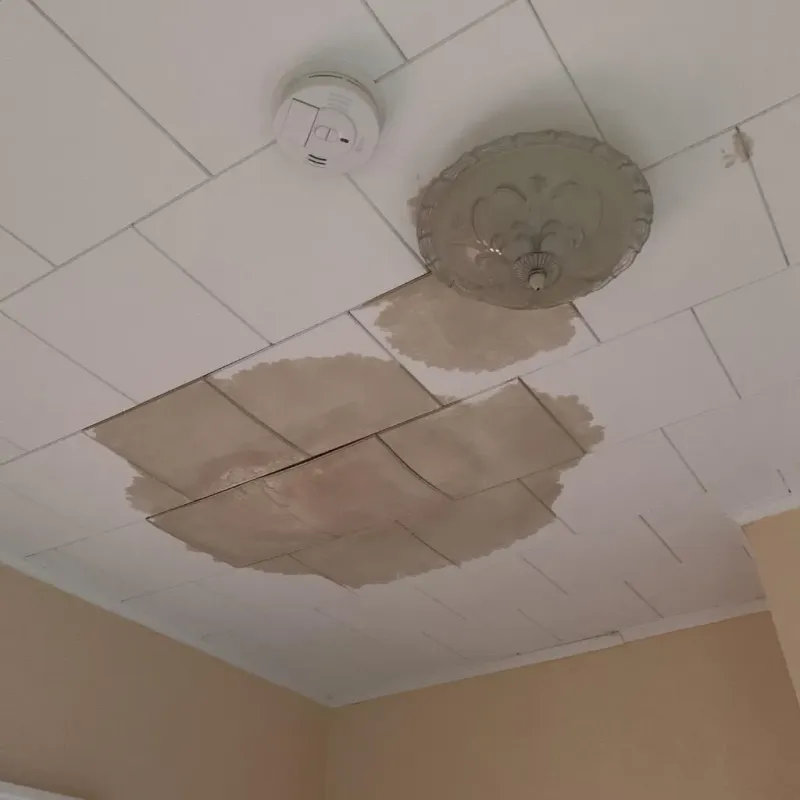 Ceiling Water Damage Repair in Monroe County, MS
