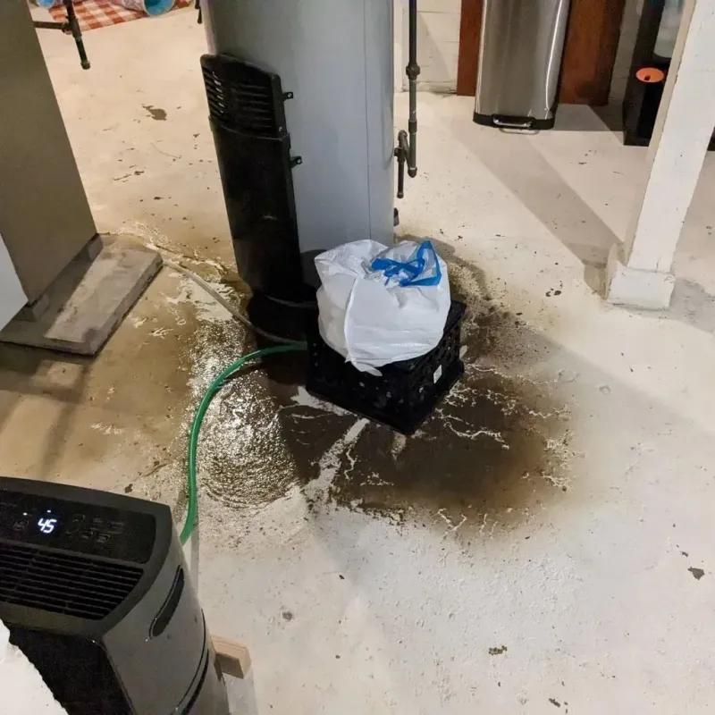 Sewage Backup Cleanup Service in Monroe County, MS